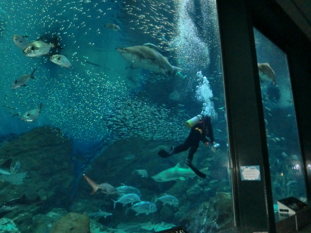 c0095424_1072481.jpg