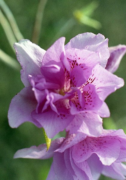 f0236733_20143040.jpg