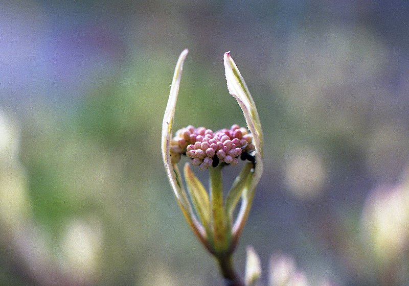 f0236733_20144737.jpg