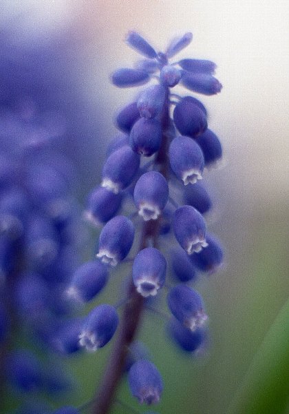 f0236733_20145551.jpg