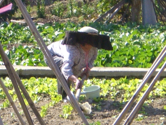 b0201935_18521784.jpg