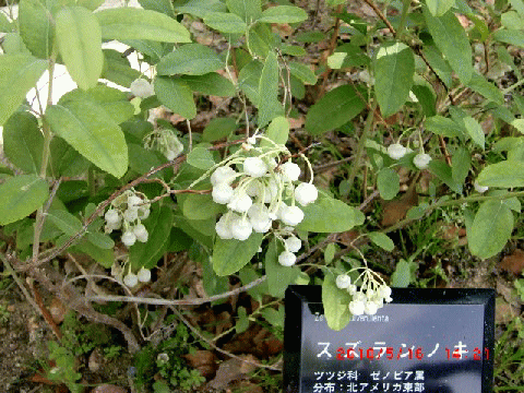 b0012636_1511829.gif
