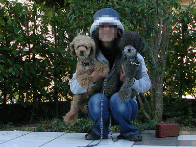 c0136736_18262146.gif