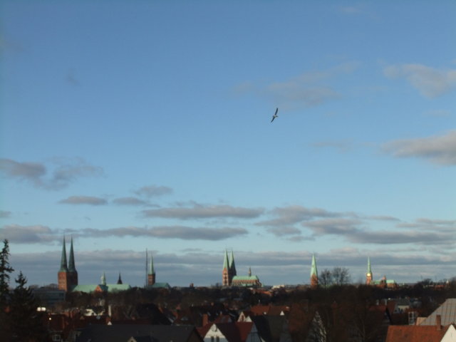 f0210340_573578.jpg