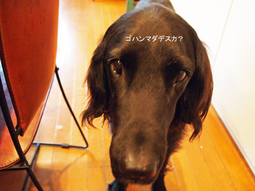 e0038241_11274112.jpg