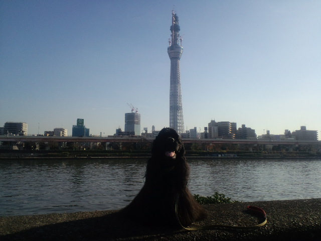f0203249_1124960.jpg