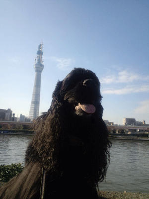 f0203249_1221962.gif