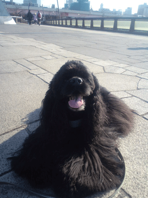f0203249_126835.gif