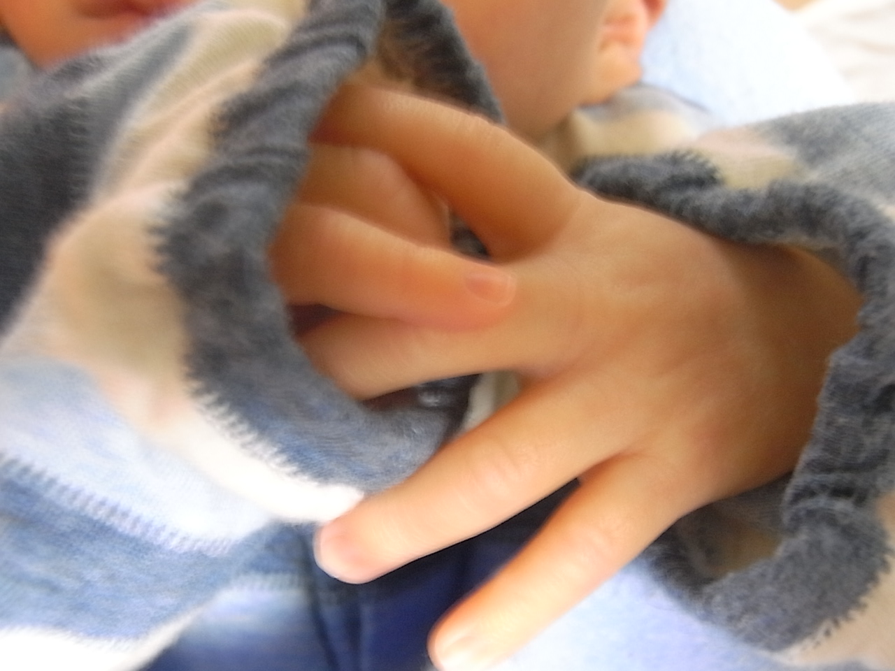a0169150_2353501.jpg