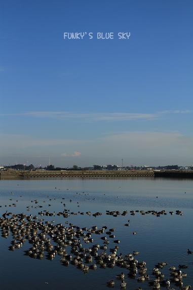 c0145250_1734315.jpg