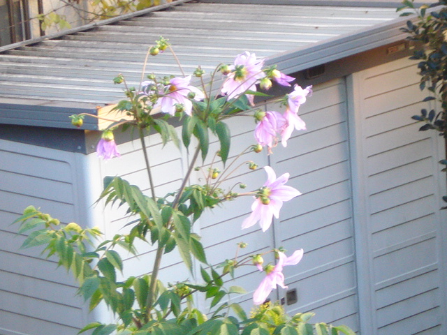 f0190054_2004227.jpg