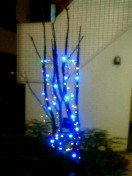 c0052756_17345378.jpg