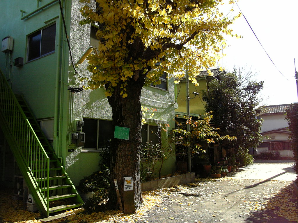 e0083359_18395165.jpg