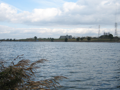 b0177760_2544284.jpg