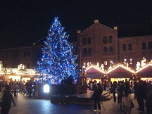 c0141268_20593074.jpg