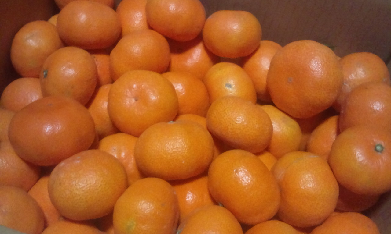 e0158773_10424651.jpg