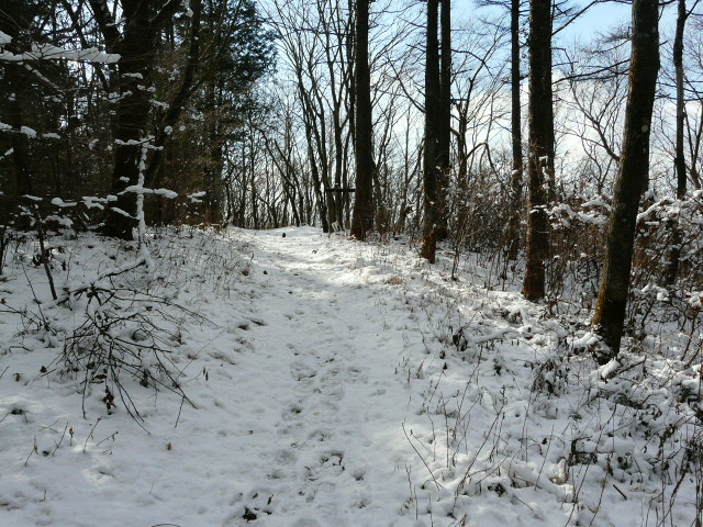 e0145782_12253342.jpg