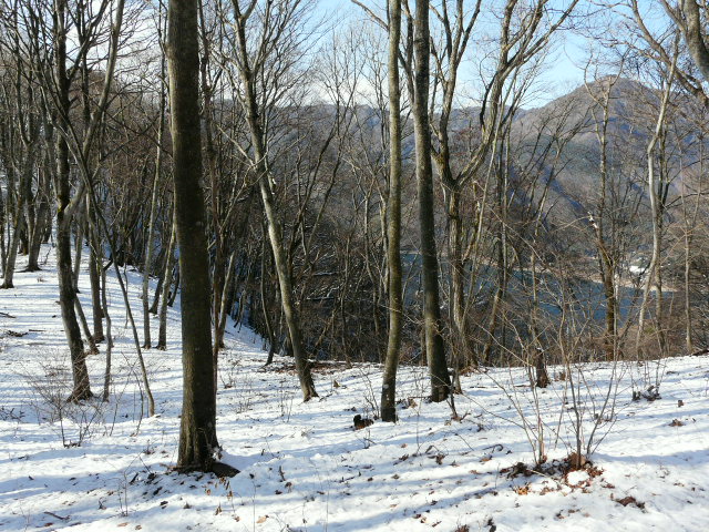 e0145782_12263380.jpg