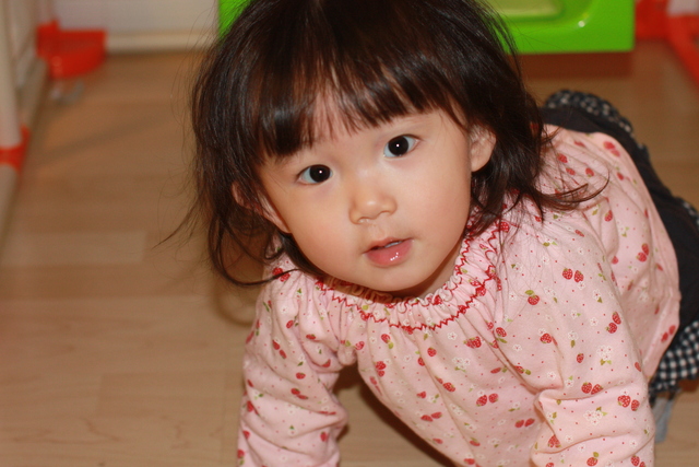 b0205389_861823.jpg