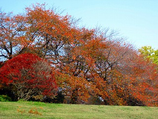 e0121589_003299.jpg