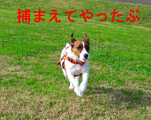 e0121589_022267.jpg