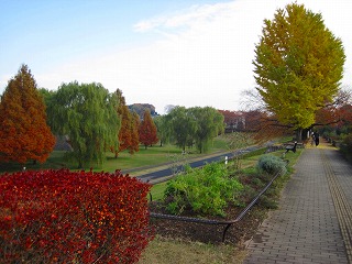 e0121589_031656.jpg