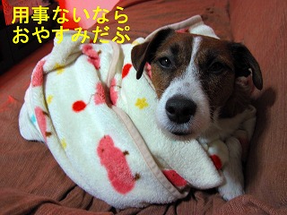 e0121589_19165199.jpg