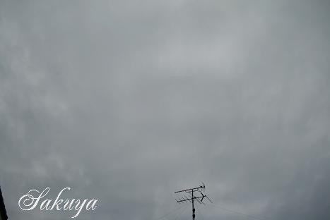 e0122194_1894582.jpg