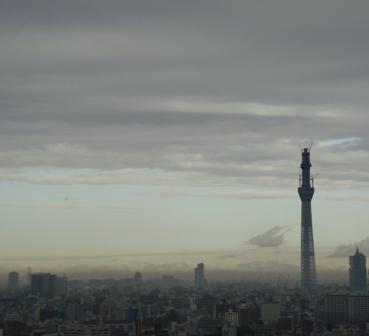 a0167803_2305521.jpg