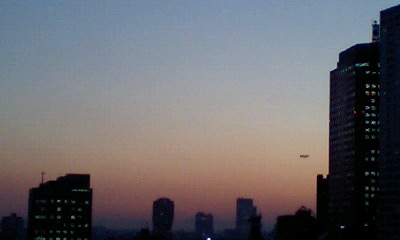 d0054704_153684.jpg