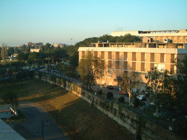 b0009206_249871.jpg