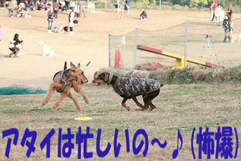 e0100007_2218337.jpg