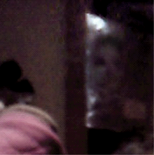 e0103408_1726562.gif