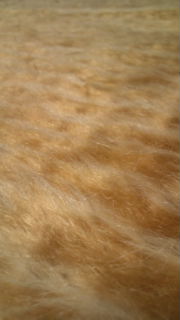 e0082110_22561528.jpg