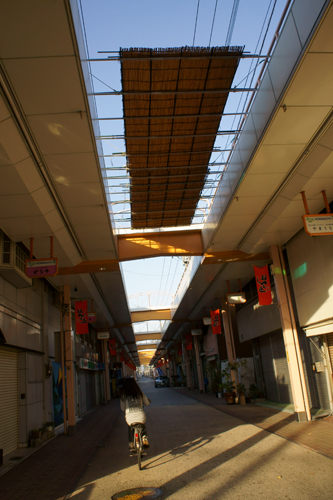 a0096313_1729134.jpg