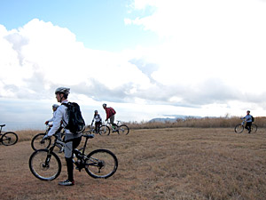 d0023725_1352030.jpg