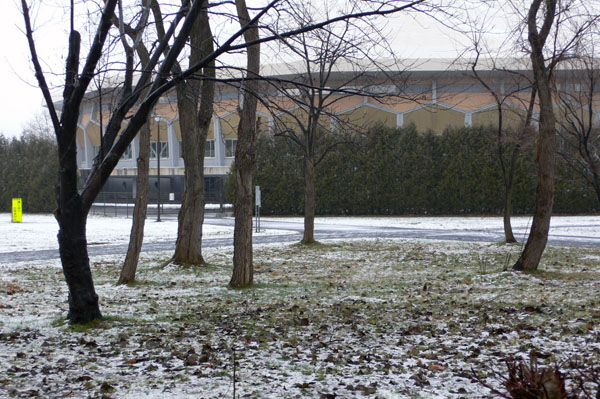 a0046429_19524820.jpg