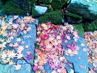 a0025532_955197.jpg