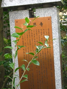 e0198839_1443183.jpg