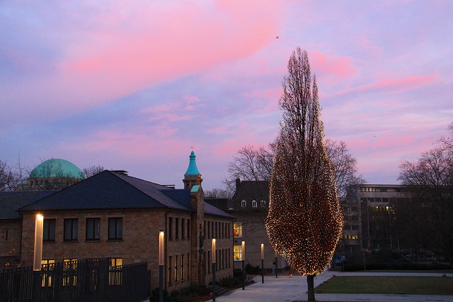 c0153740_5262146.jpg