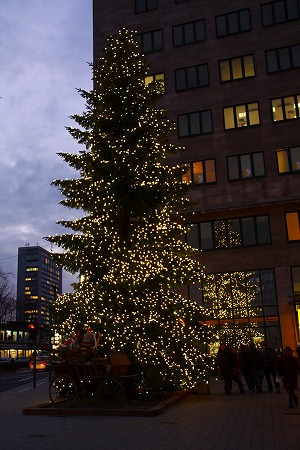 c0153740_529328.jpg