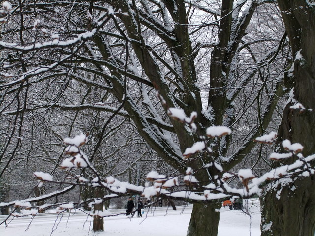 f0210340_42563.jpg