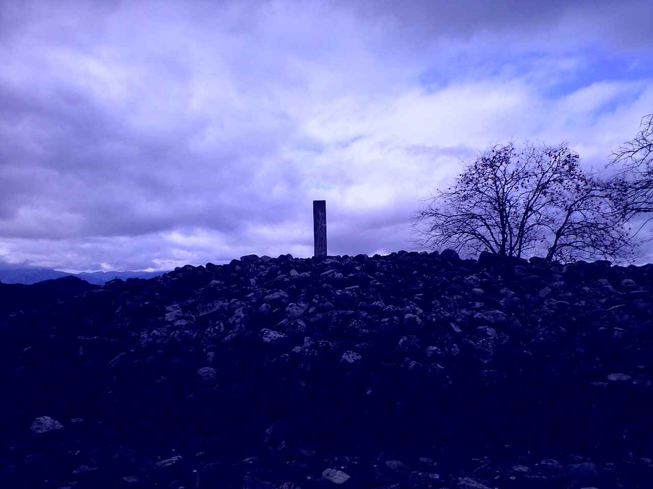 b0068541_20464948.jpg