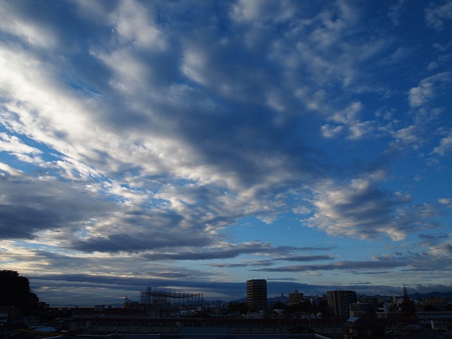 a0146442_20193311.jpg