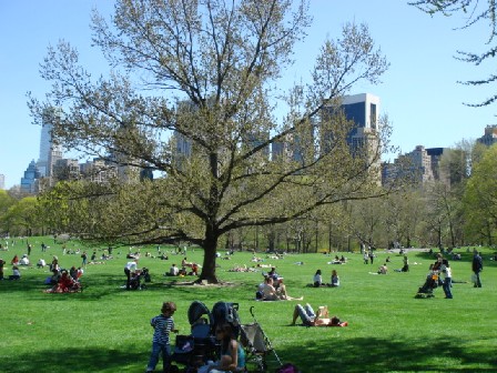 e0206042_171366.jpg