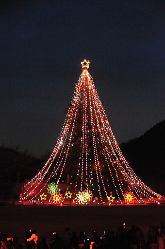 f0094843_039362.jpg