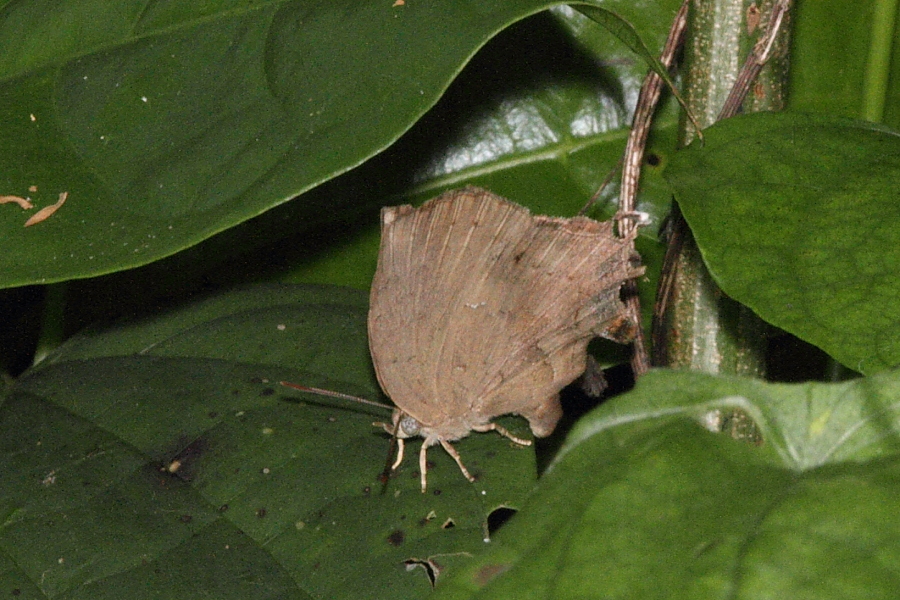 a0094850_11445978.jpg
