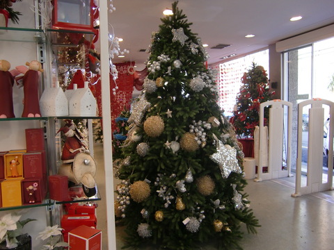 c0206352_373713.jpg
