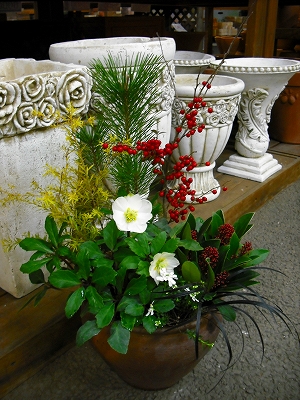 e0025655_615772.jpg