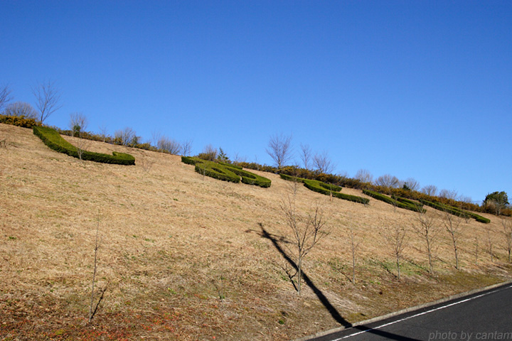 f0091955_3354049.jpg